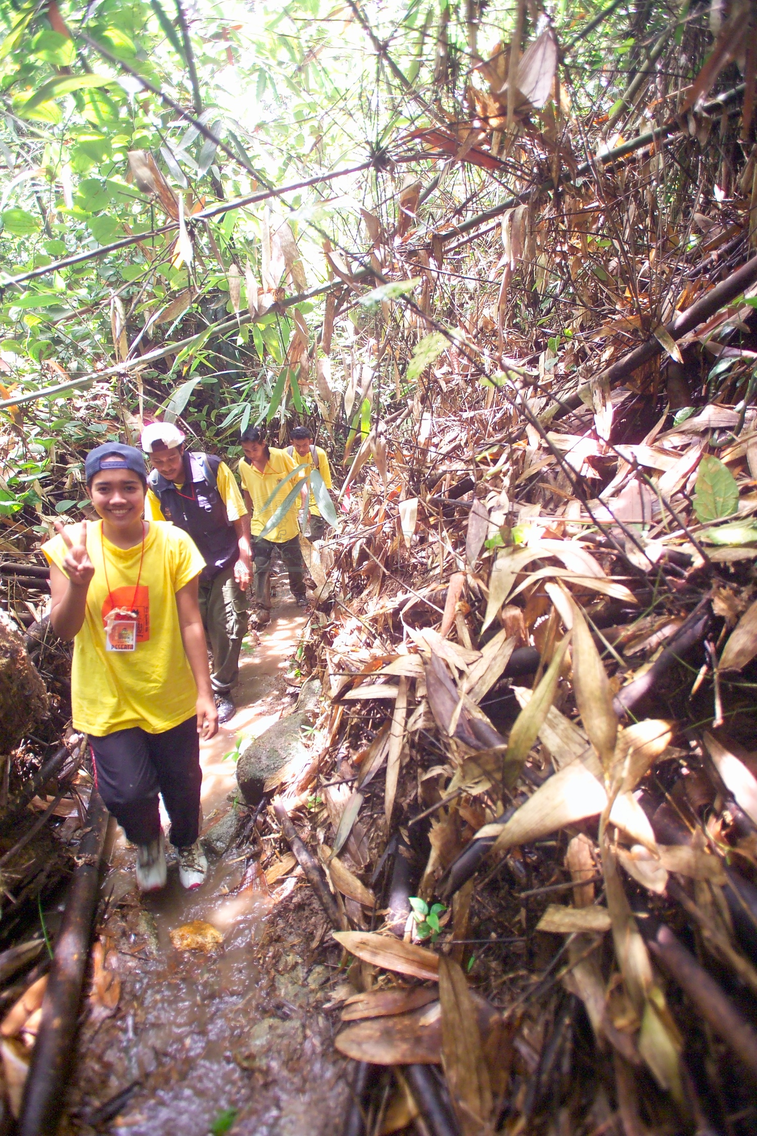 PTPM 06 31 kilau D9X44190